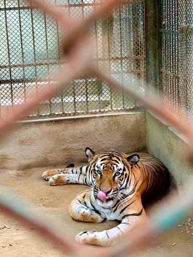 WhatsApp Image 2025-07-30 at 12.32.58_c68d4e56